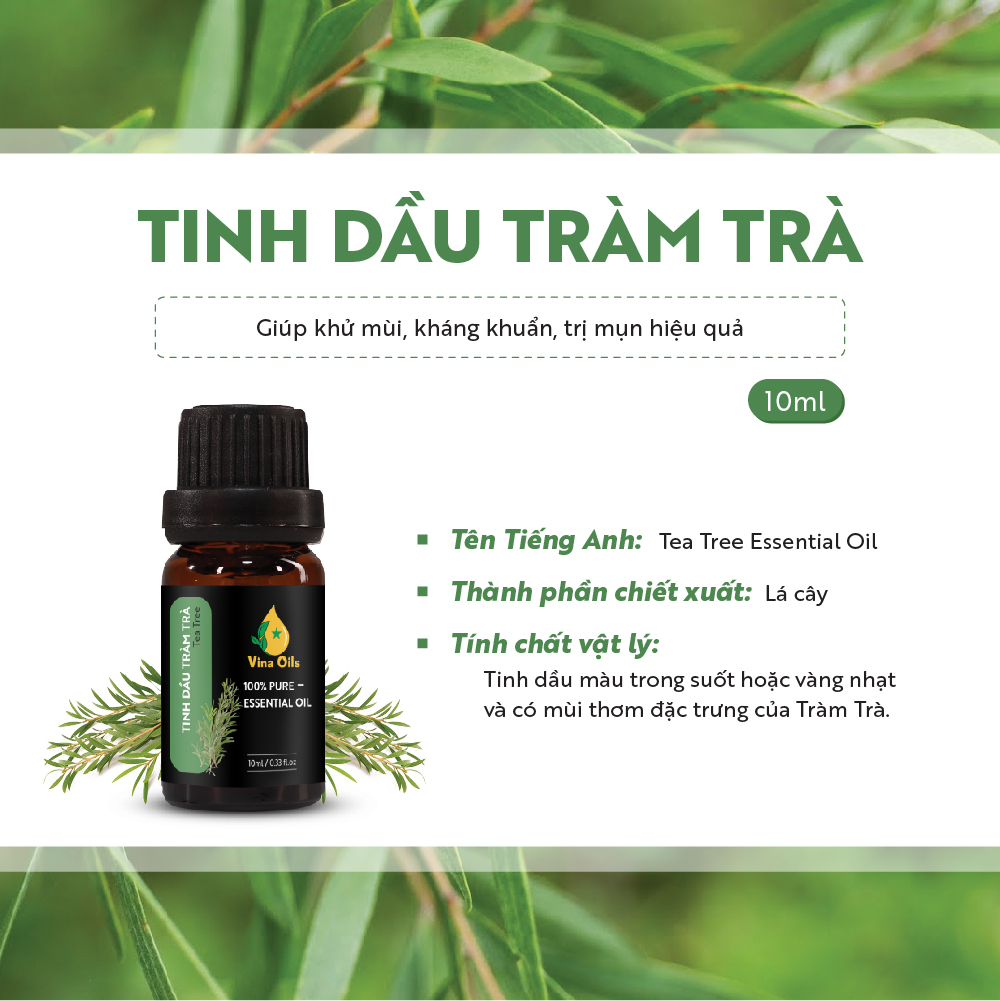 Tinh dầu xông Tràm trà 10ml (1 thùng)